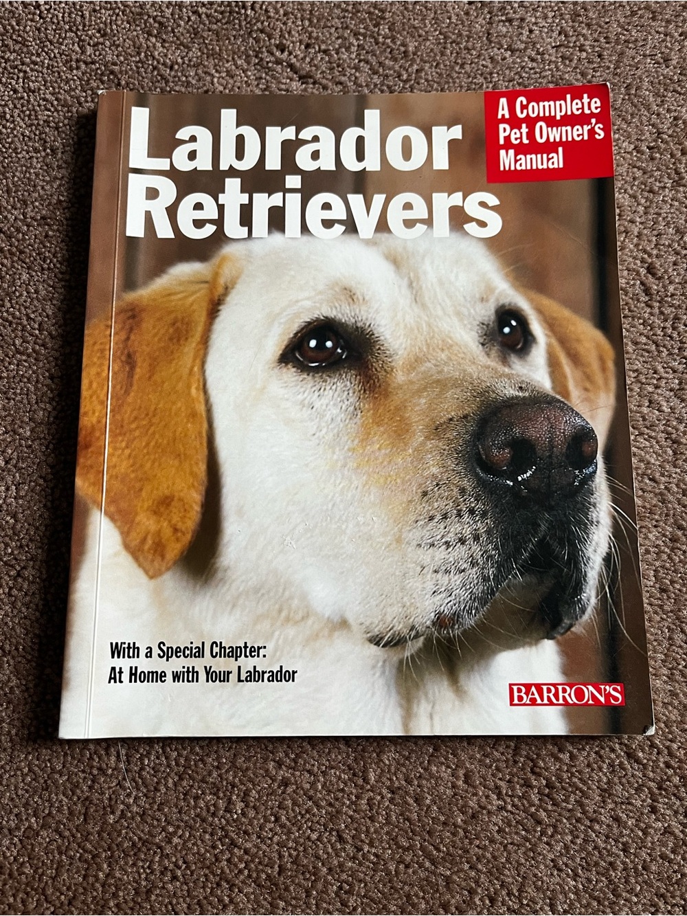 Labrador Retrievers (Barron's) Dog Owner's Manual - Yellow Cover